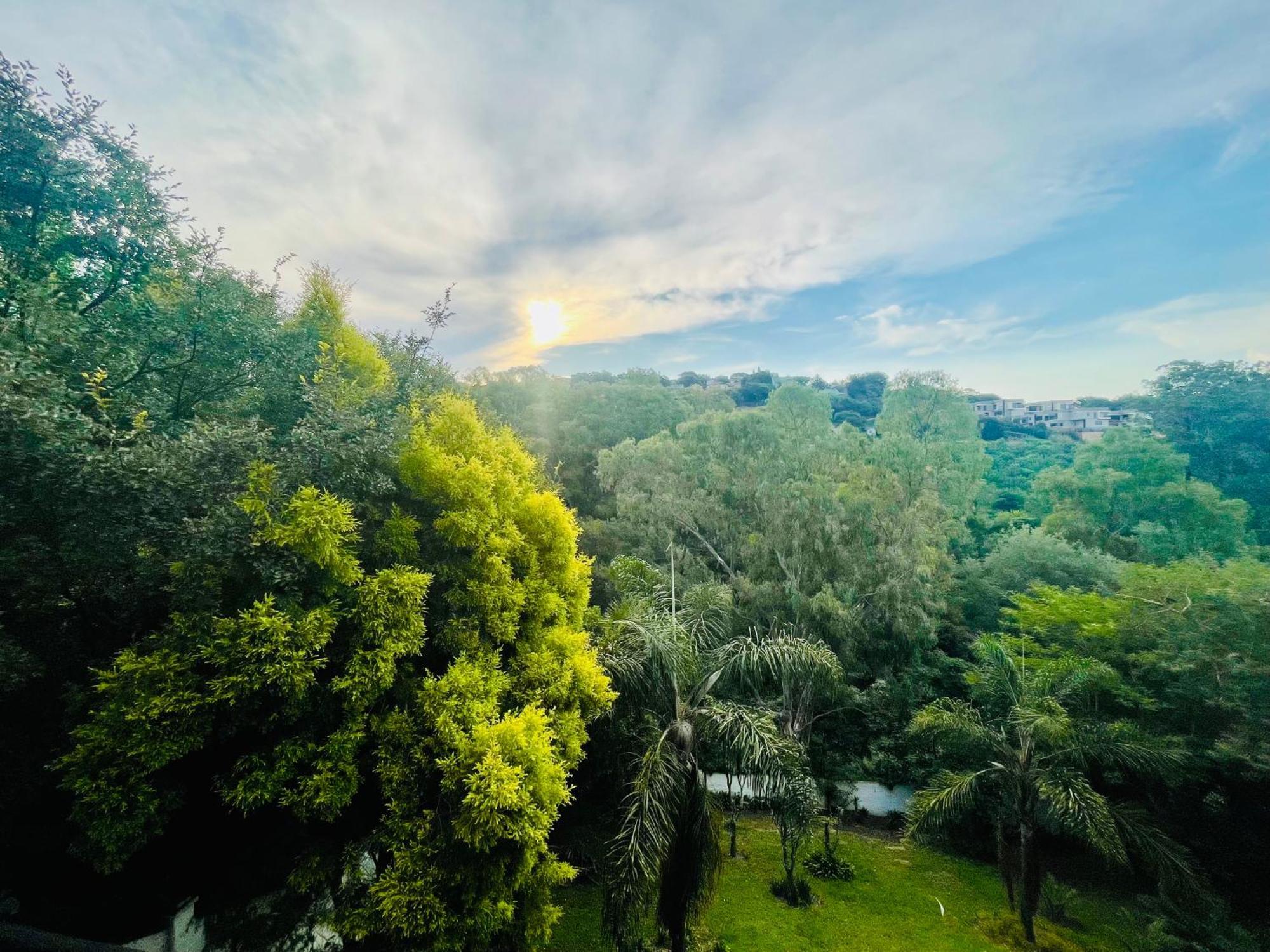 Pretoria Mansion Boutique Hotel Coral Tree Экстерьер фото